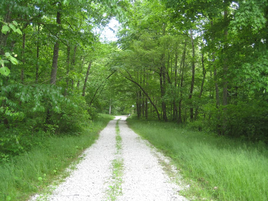 Private lane to cottage.