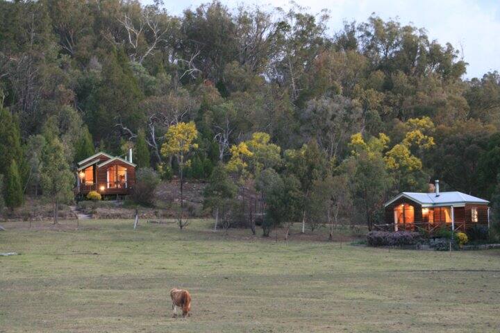 Daisy Cottage 2 Night Min Stay Cottages For Rent In Wyberba