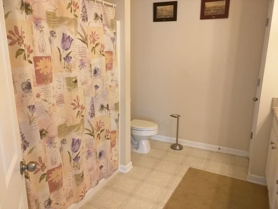 Ensuite Master bathroom