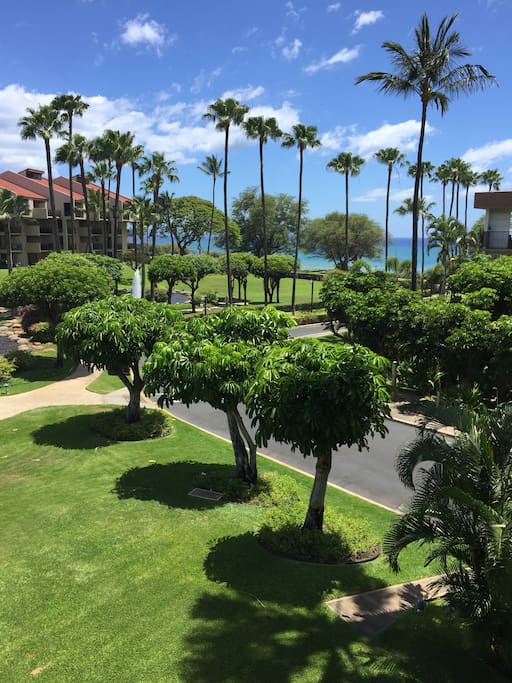 View from lanai