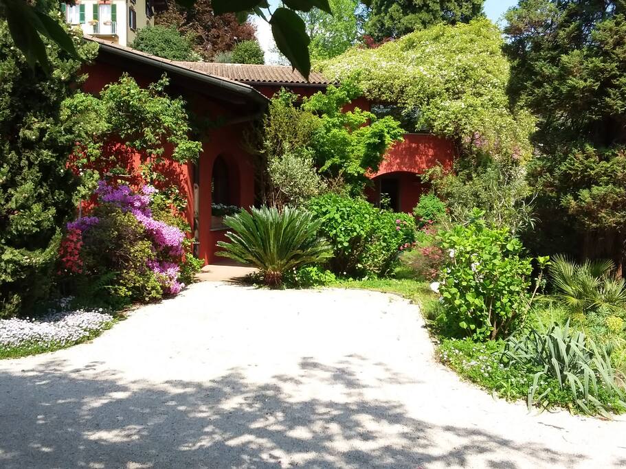 The house in spring
