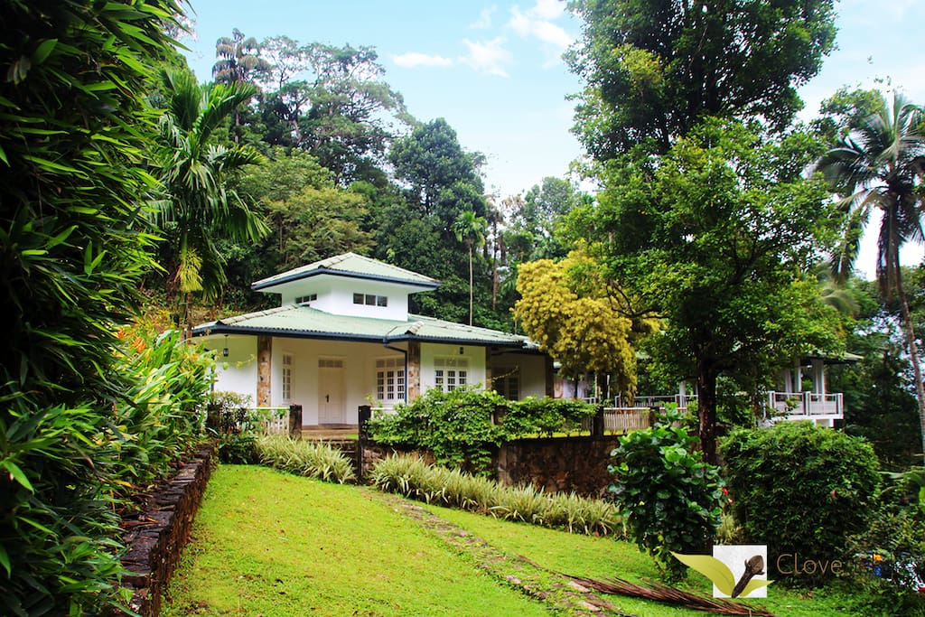 Bungalow Front View