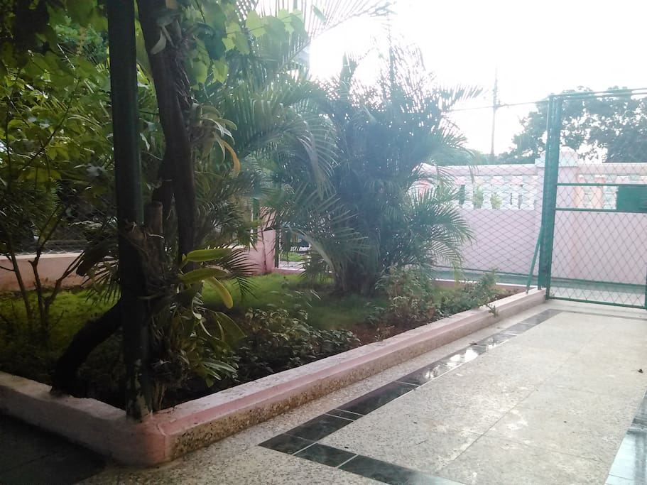 Vista del jardín.