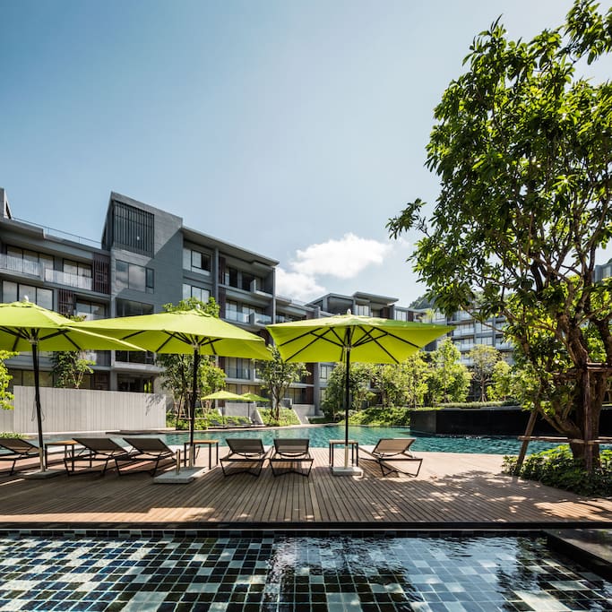 Outdoor Swimming pool with a touch of Nature