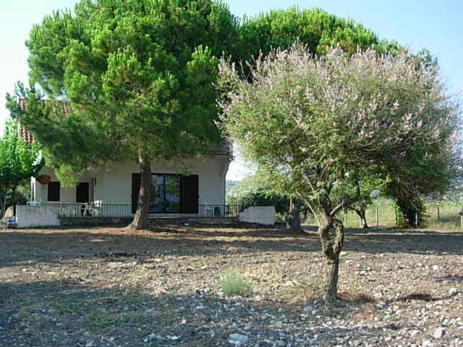 The house