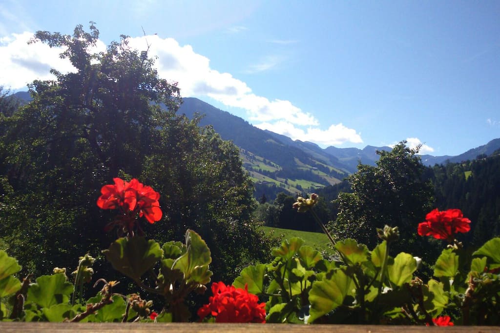 Ausblick vom Appartment