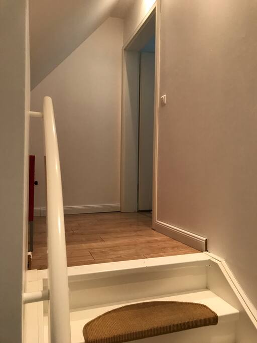 Treppenaufgang / Wohnungseingang