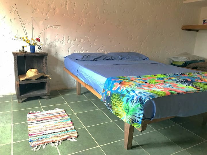 Habitación 1