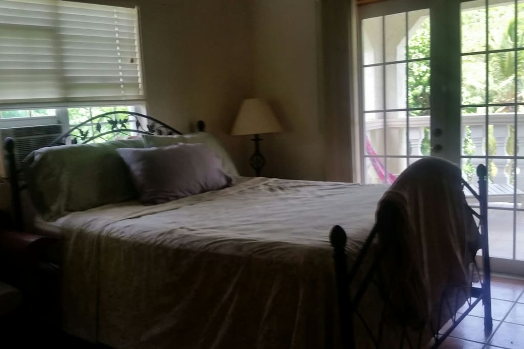 Bedroom with French doors to the large patio (hammock coming soon!)