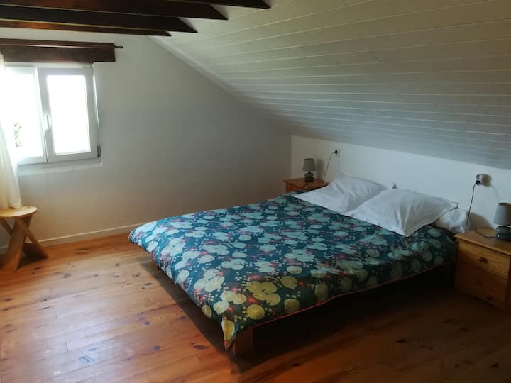 Gran habitación con vistas al mar