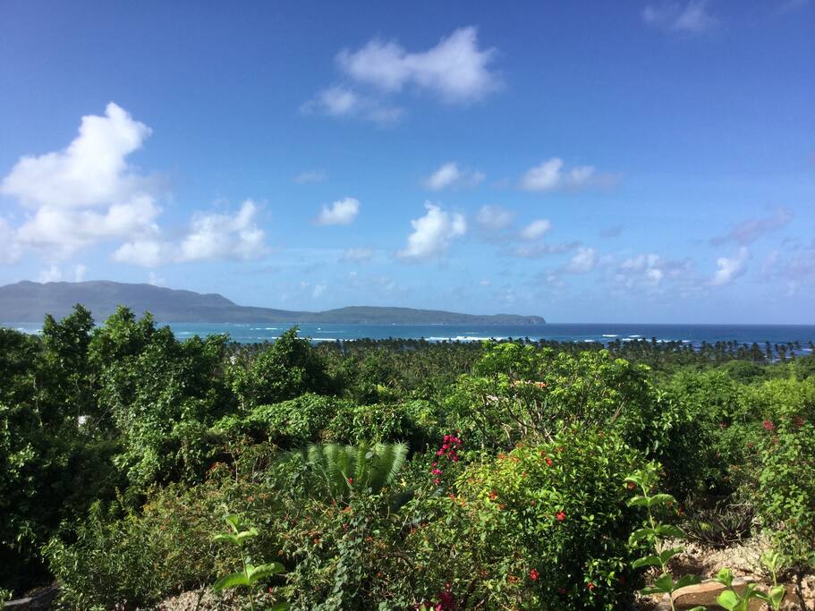 View From Your Front Door