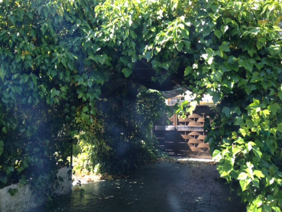 Jardín privado en parcela de 500m2