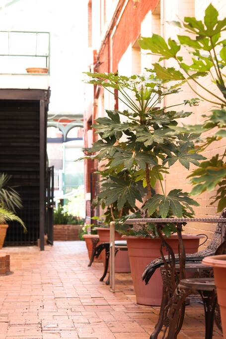 The private courtyard.