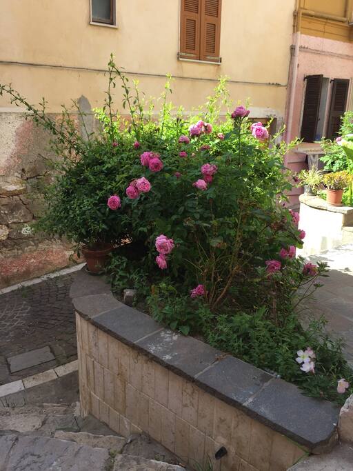 angolino tranquillo