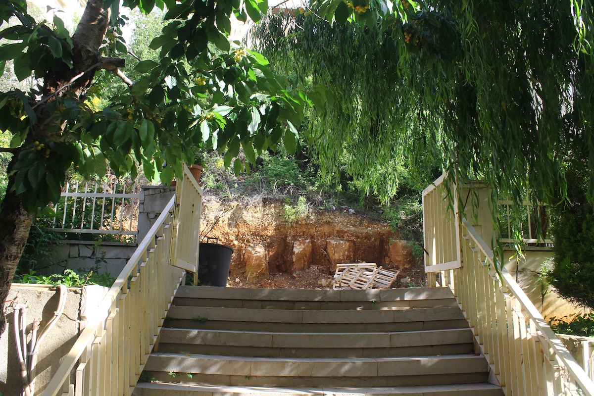 A set of wide stone steps leads down to a landscaped area, bordered by lush greenery and trees. A portion of the ground displays exposed earth, indicating recent landscaping work. Natural light filters through the branches, creating a calming and serene environment.