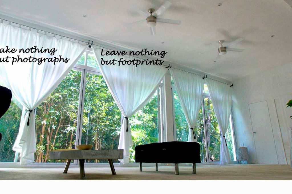 Jungle view