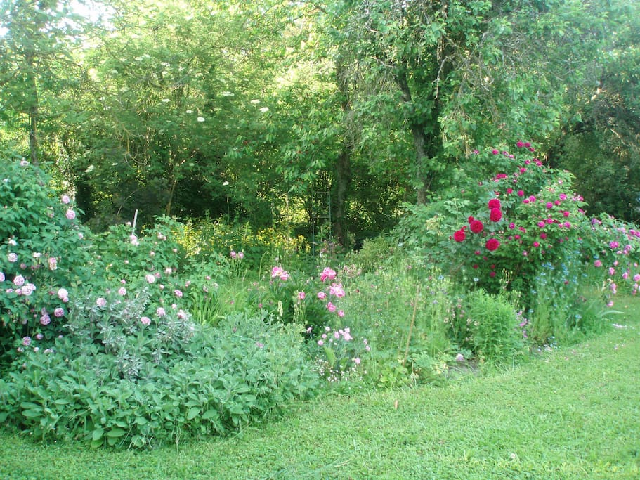 jardin