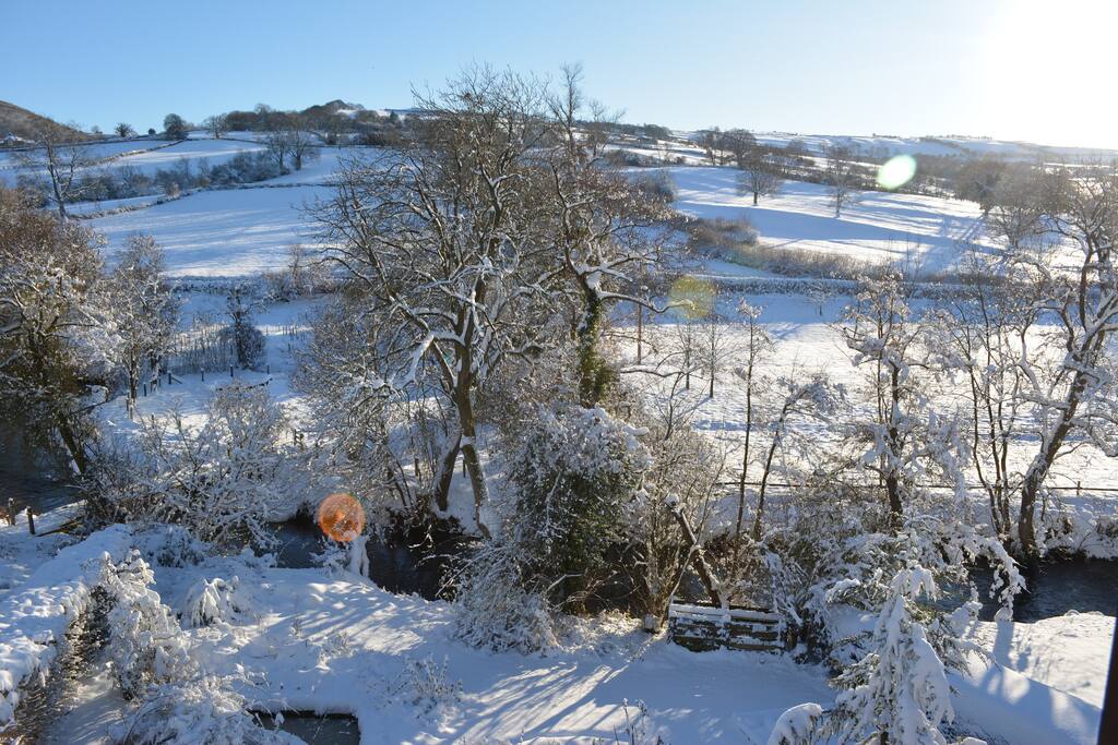 A winter's day view from the room