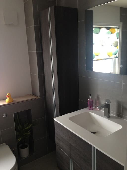 New modern wet room.