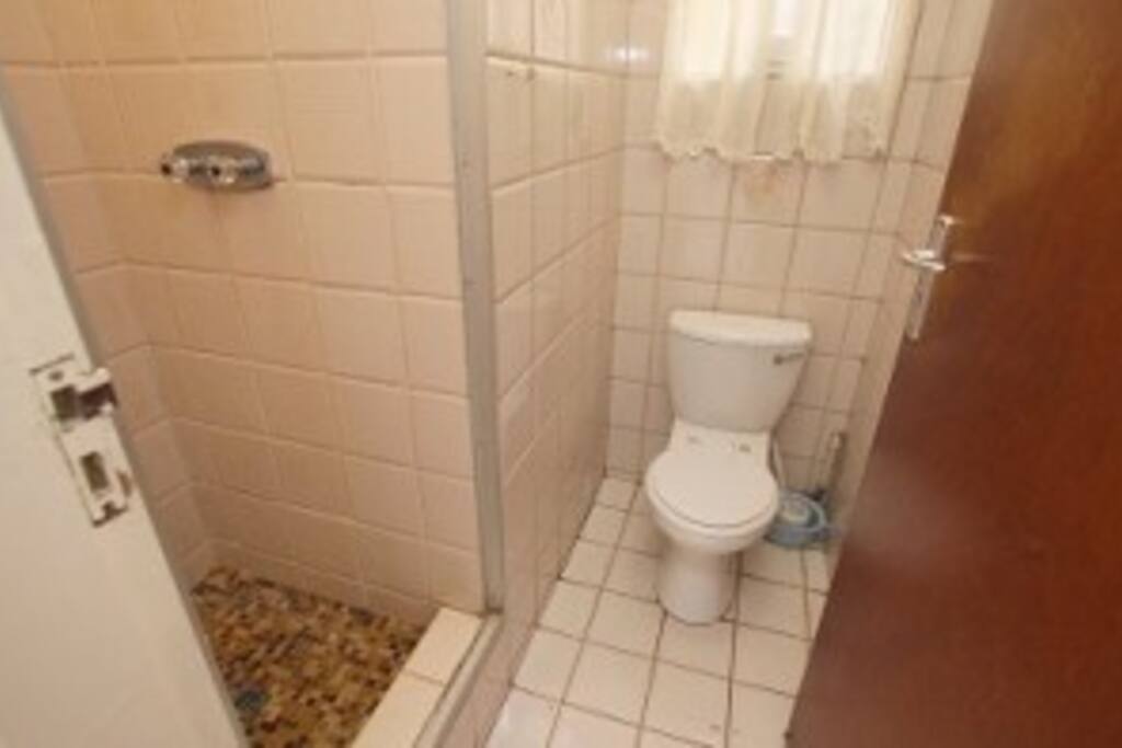 toilet and shower