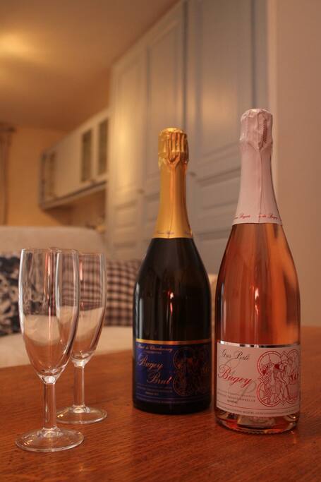 Idéalement situé pour découvrir les vins du Bugey