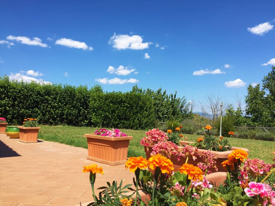 Giardino