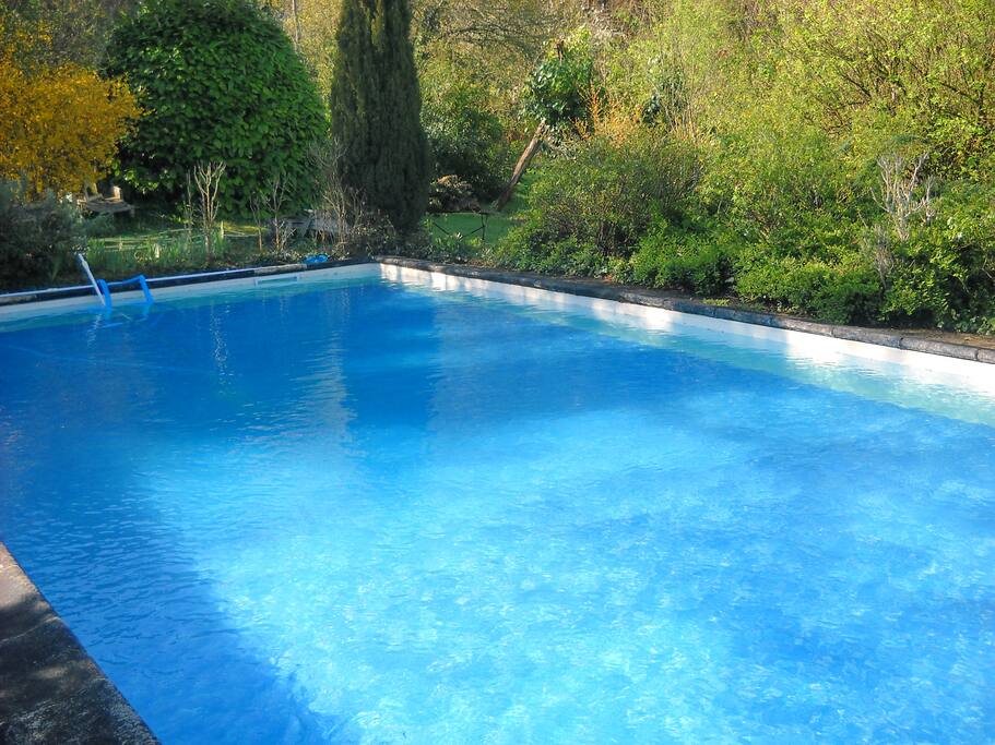piscine avec vue sur parc 5000 m2