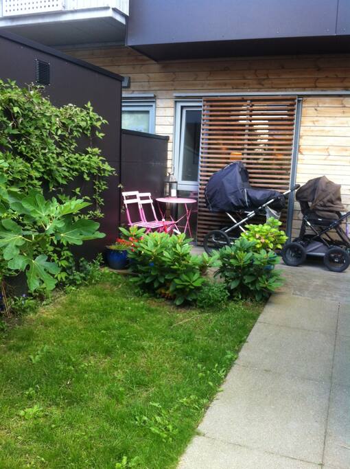 The front garden