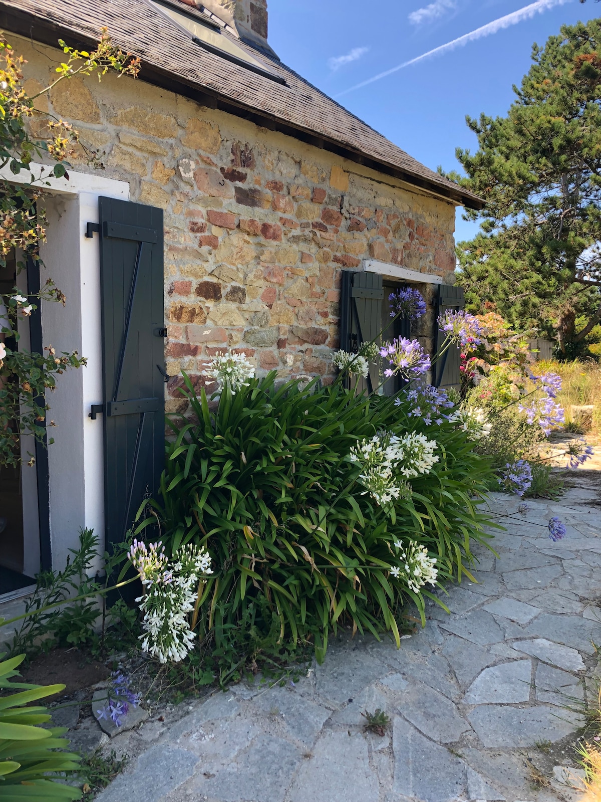 A charming exterior of a stone house is showcased, featuring dark shutters flanking the entrance. Lush green foliage and clusters of white and blue flowers frame the pathway, which is made of light-colored stones, accentuating the natural beauty of the surrounding garden.