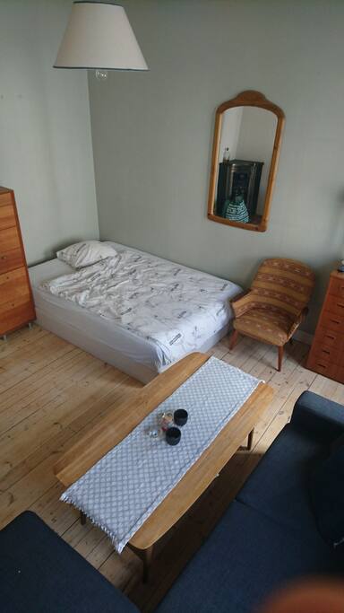 twin bed, actually somewhat smaller than the fold out couch