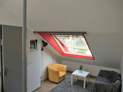 Top performing Airbnb: 30 m² duplex, atypical, Zola, in wooden house in Dervallières Zola