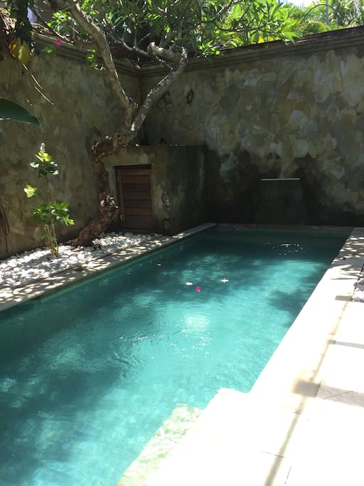 The pool