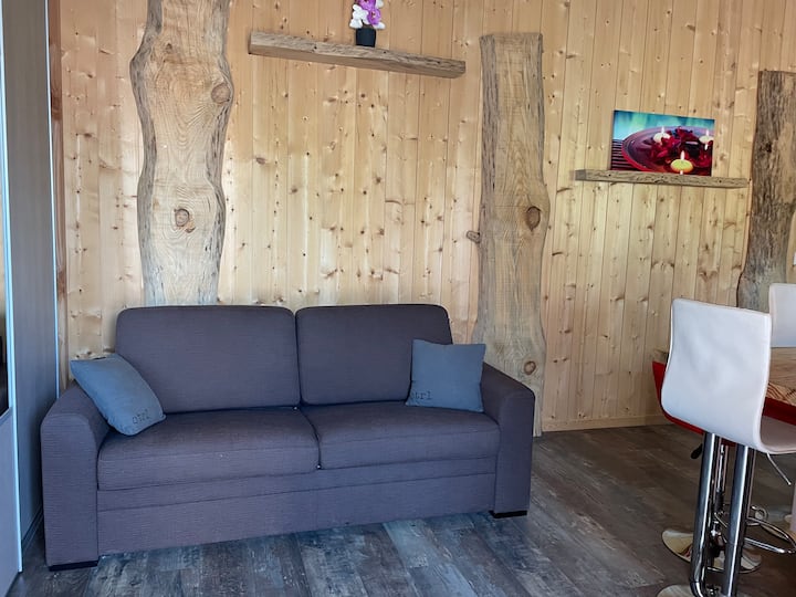 Appartement Pour 4 Personnes - Le Teich