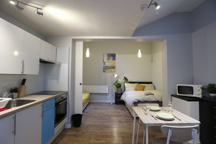 Cozy Central Studio Next To Hyde Park Apartments For Rent In