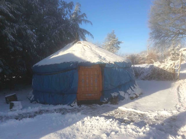 Mongolian Yurt with underfloor heated bathroom