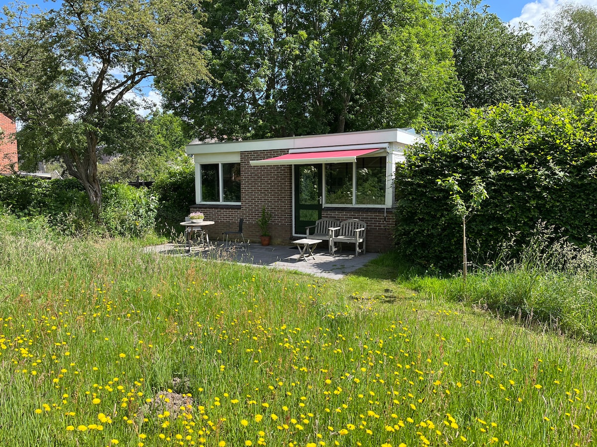 A modern, single-story house is set amidst lush greenery, featuring large windows and outdoor seating under a retractable awning. The surrounding area is filled with wildflowers and mature trees, enhancing the natural setting.