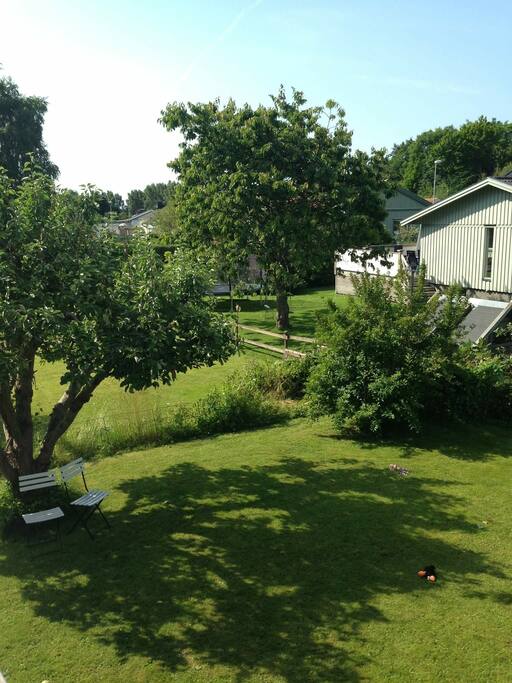 Fenced lawn
