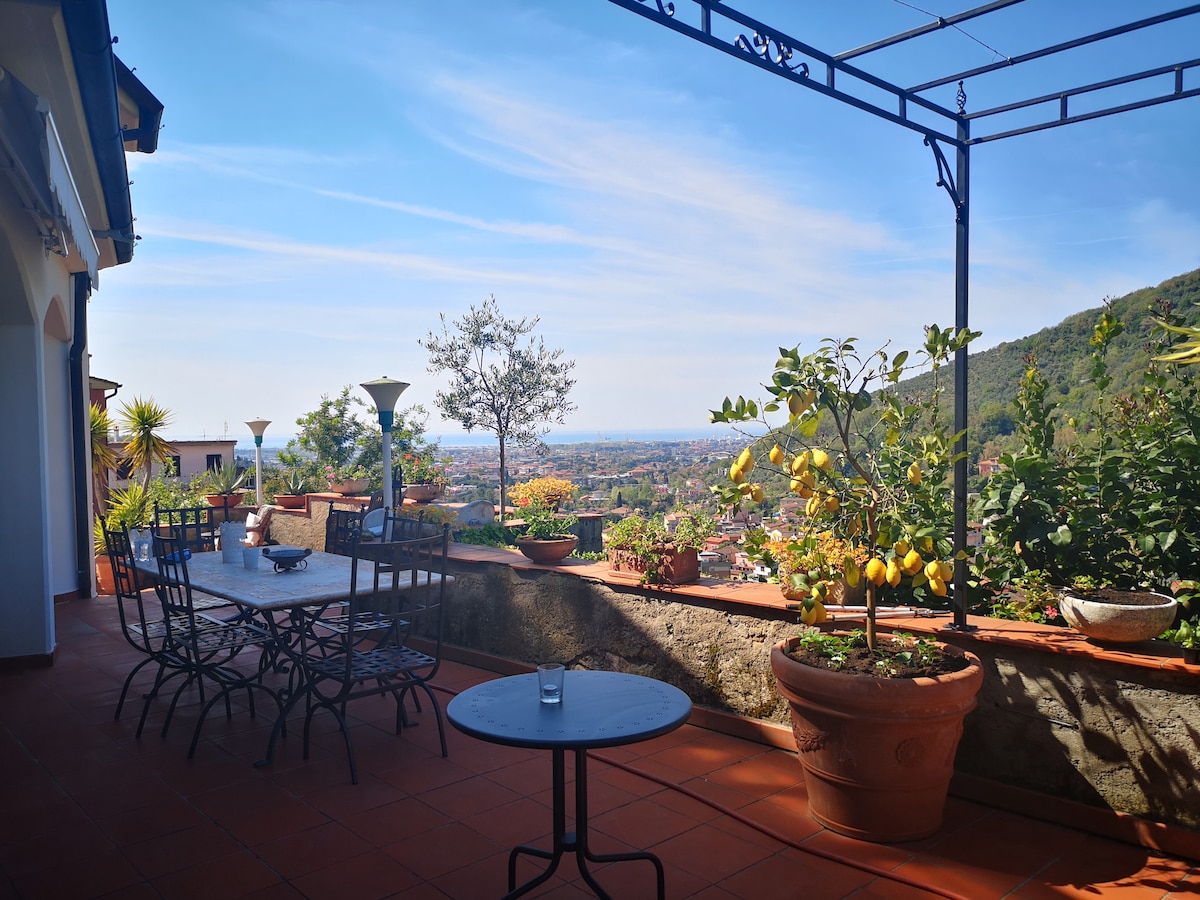 A spacious terrace is presented with a large dining table surrounded by chairs, overlooking verdant hills and the ocean. Potted plants, including a lemon tree, add vibrant touches to the scene, while a small table rests beneath the pergola, inviting outdoor relaxation.