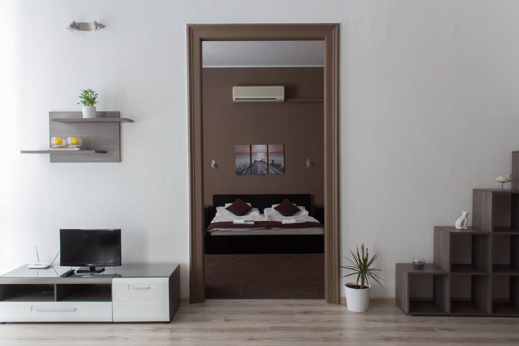Living room and bedroom