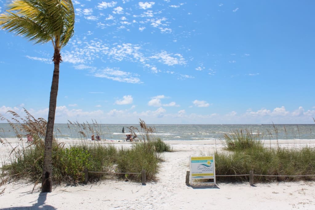 The beach