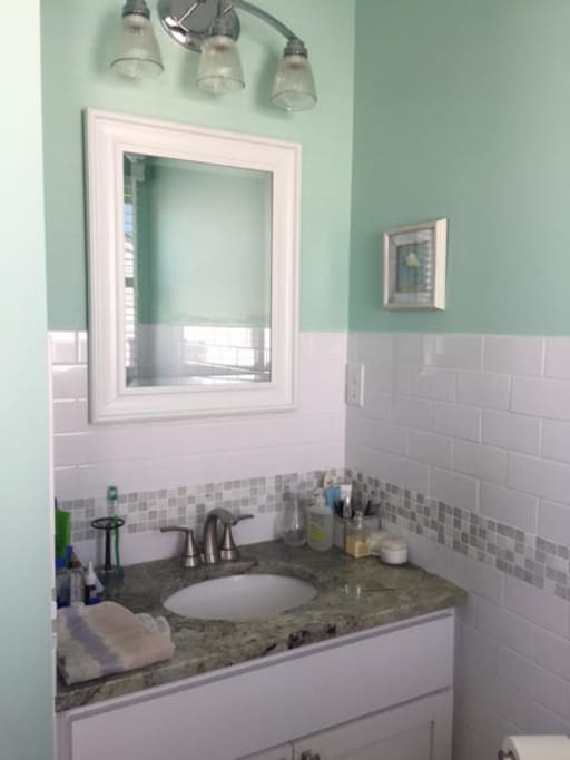 Master bedroom powder room