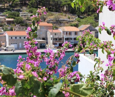 Successful Airbnb property: Apartment Riva in Žirje