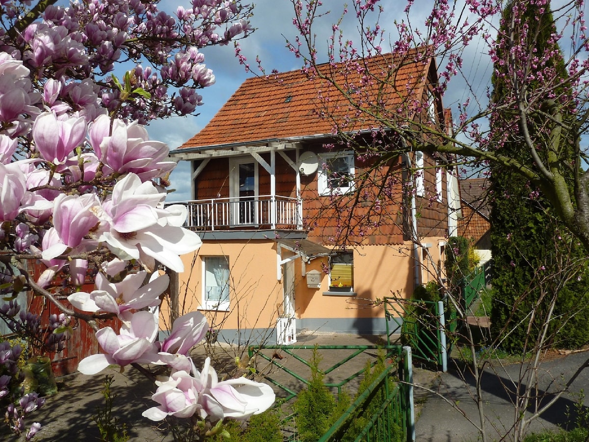 A charming two-story house is framed by blossoming magnolia trees, showcasing a warm exterior with an inviting balcony on the upper level. The property is surrounded by a well-maintained garden, providing a serene setting in a residential area.