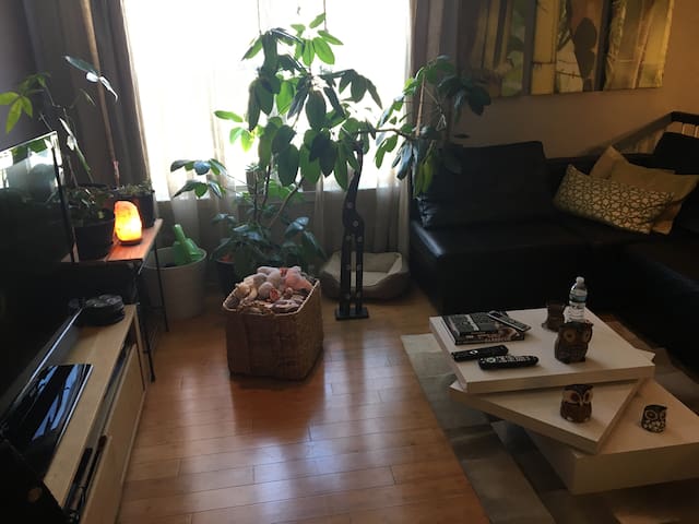 Entire 2 bed modern apartment @ quiet residencial.