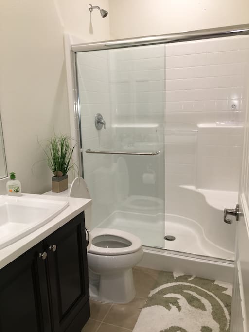 Bathroom 01 --Safety and Convenience