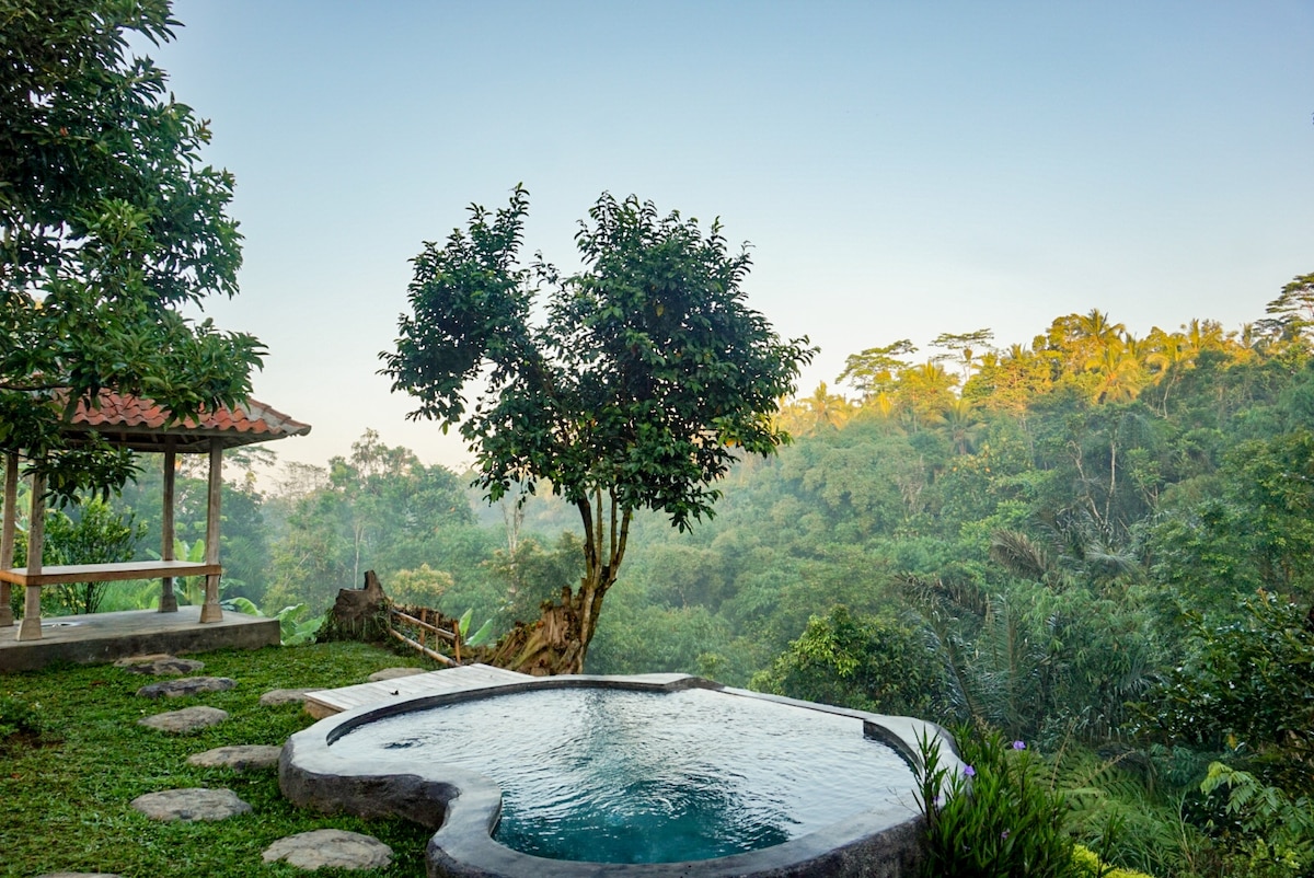 A private plunge pool is nestled in a lush, green setting, surrounded by trees and tropical vegetation. The serene water surface reflects the early morning sky, creating a tranquil atmosphere. A pathway of stones leads from the pool area to a nearby gazebo among the greenery.