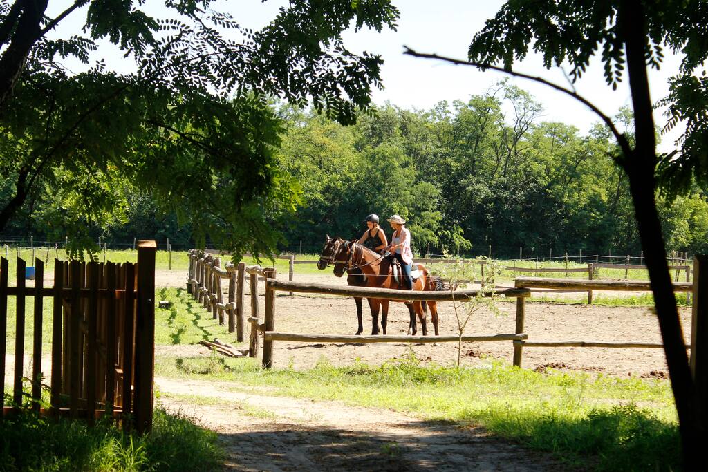 HETA qualified riding centre