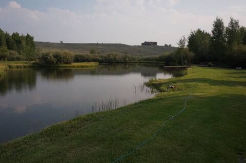 Pinedale Home on Pine Creek with Two Large Ponds!