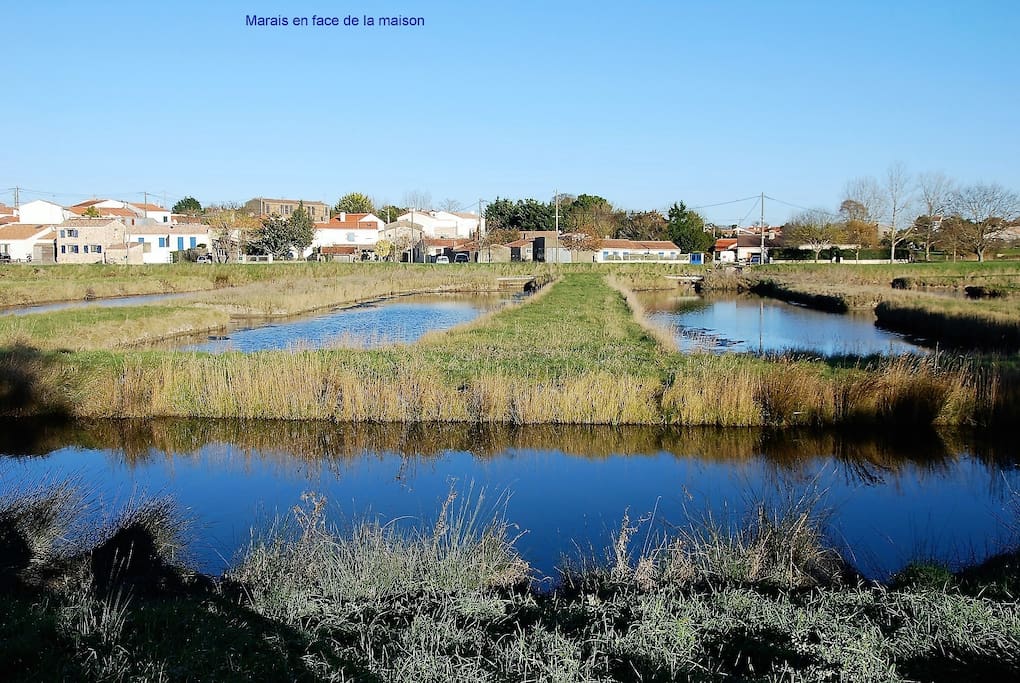 Vue sur les marais salants