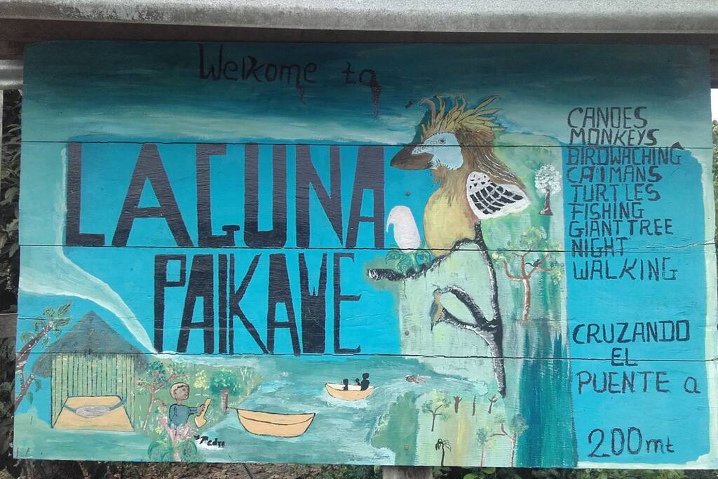 actividades en misahualli wildlife center